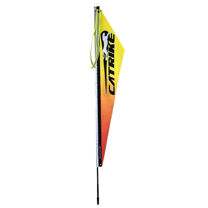 Catrike Logo Flag