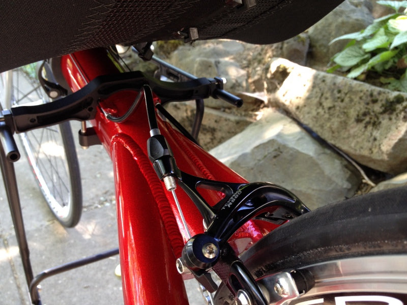 RANS Oval Rack