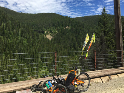 T-Cycle Flag Mount